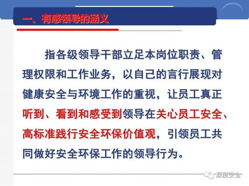 跨国公司的安全文化构建与经纪服务支持